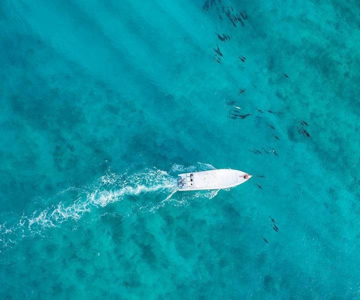 Excursiones en bote y cruceros fotográficos