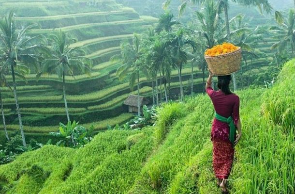 Viaje a Bali y Maldivas 12 días