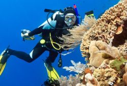Buceo en Maldivas