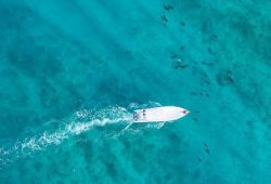 Excursiones en bote y cruceros fotográficos